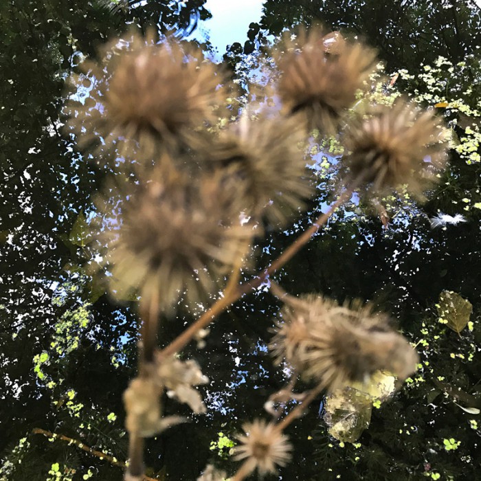 Berit Uhlhorn | Far Too Close