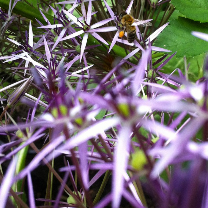 Berit Uhlhorn | Far Too Close