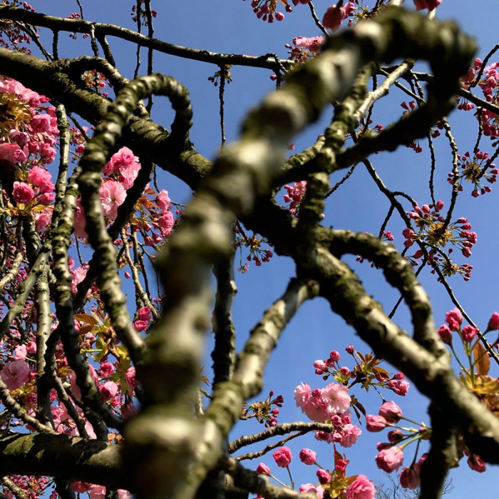 Berit Uhlhorn | Far Too Close