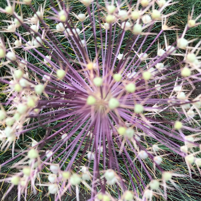 Berit Uhlhorn | Far Too Close