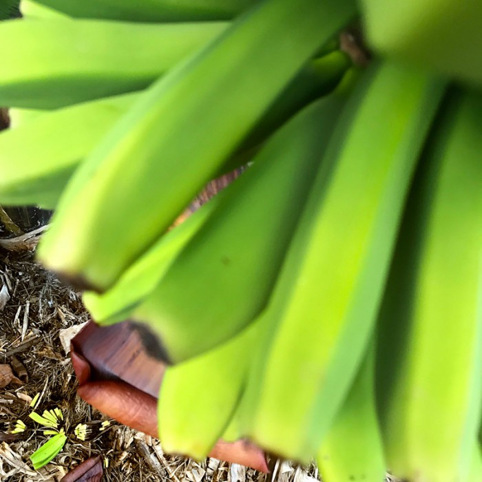 Berit Uhlhorn | Far Too Close