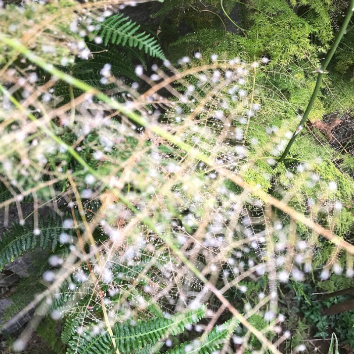 Berit Uhlhorn | Far Too Close