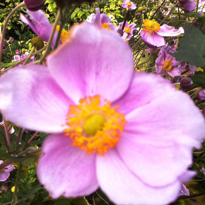 Berit Uhlhorn | Far Too Close