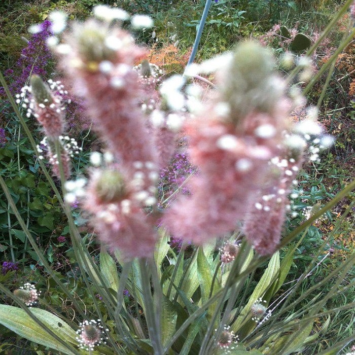 Berit Uhlhorn | Far Too Close