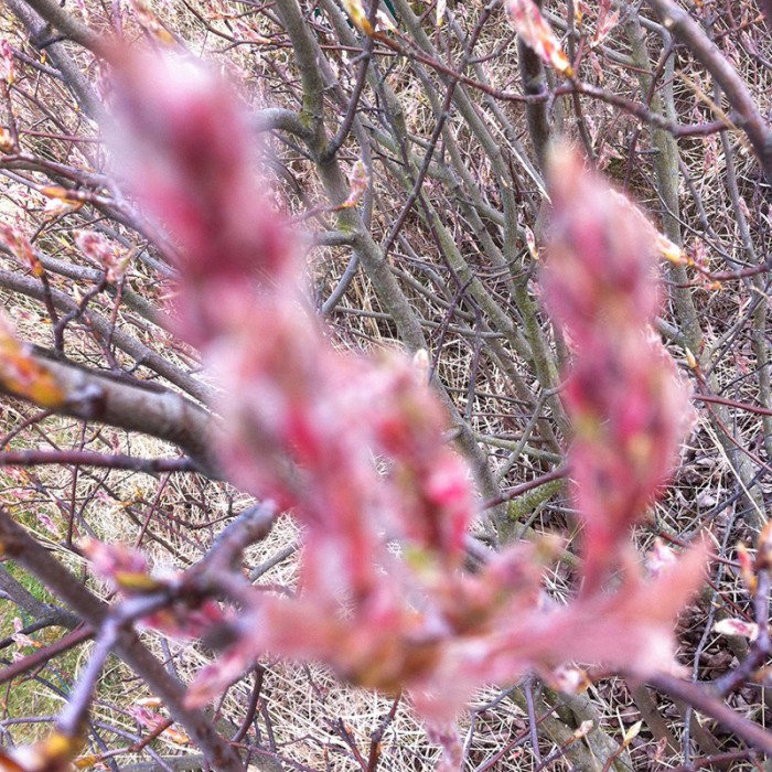 Berit Uhlhorn | Far Too Close