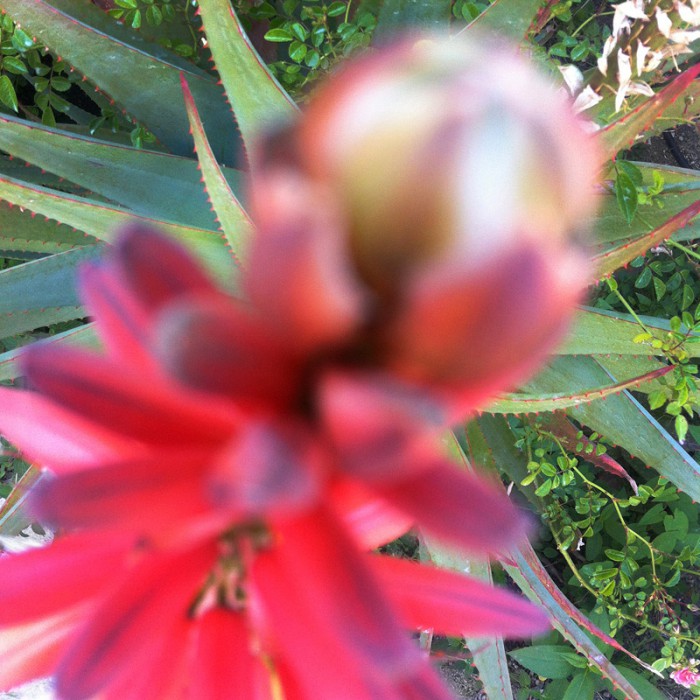 Berit Uhlhorn | Far Too Close