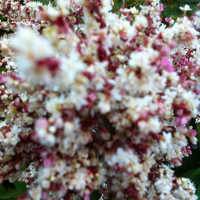 Berit Uhlhorn | Far Too Close