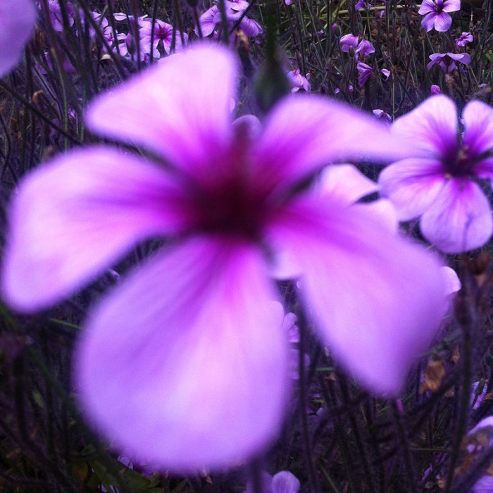 Berit Uhlhorn | Far Too Close