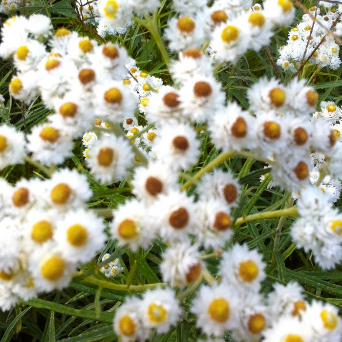 Berit Uhlhorn | Far Too Close