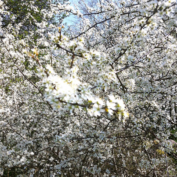 Berit Uhlhorn | Far Too Close