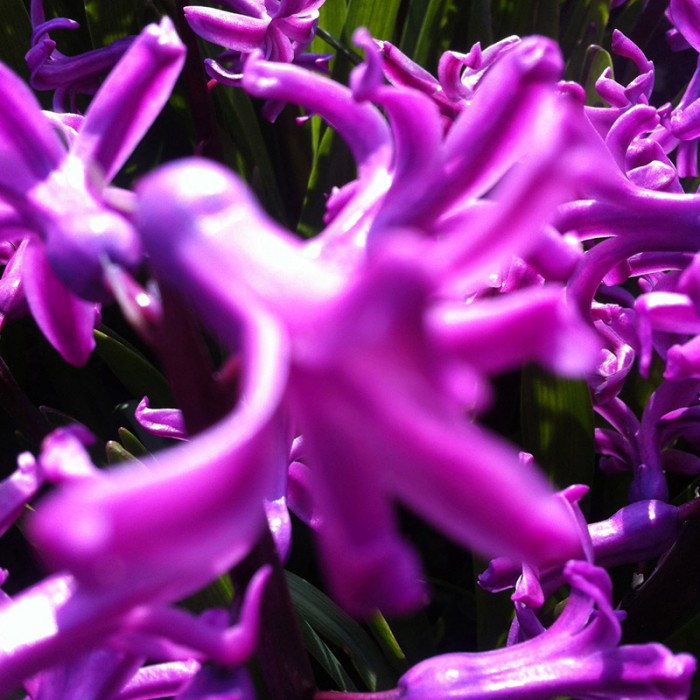 Berit Uhlhorn | Far Too Close