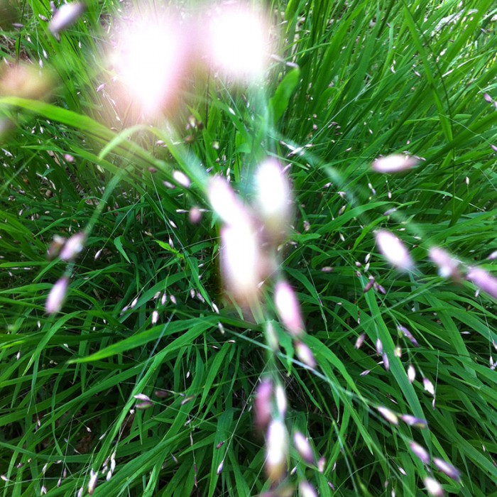 Berit Uhlhorn | Far Too Close