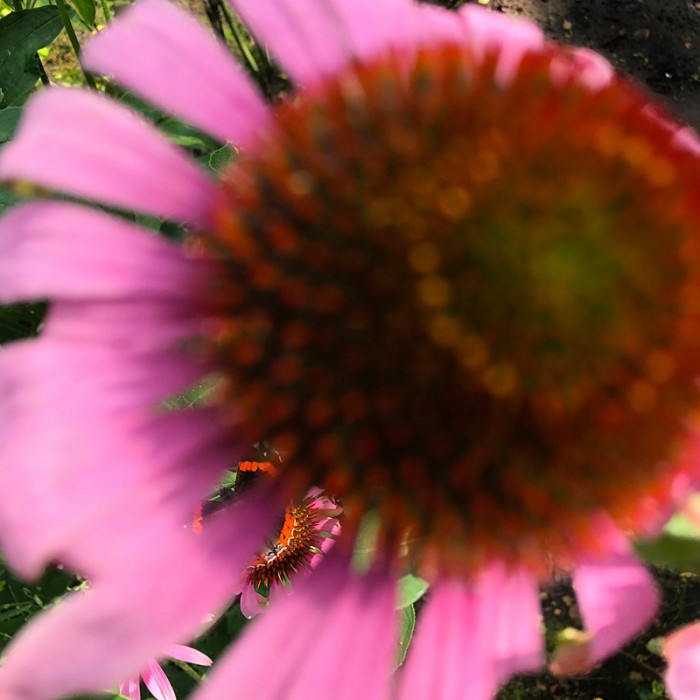 Berit Uhlhorn | Far Too Close