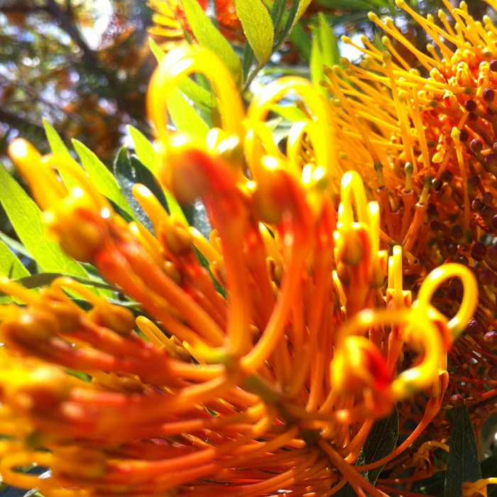 Berit Uhlhorn | Far Too Close